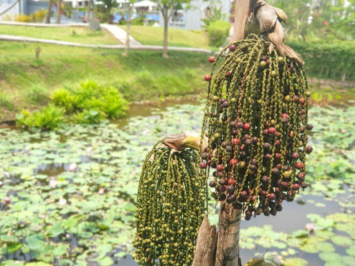 Le Palais Juliana Hotel Luang Prabang Luaran gambar